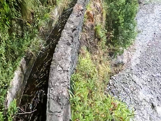 Levada dos Piornais — Até ao primeiro caminho de acesso e à ponte — foto 8