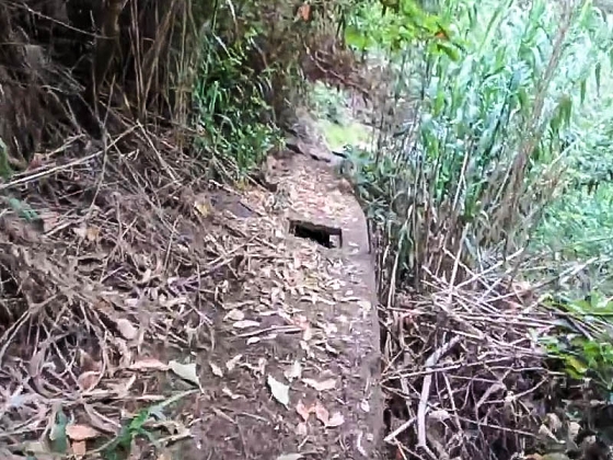 Levada dos Piornais — Até ao segundo caminho de acesso — foto 6