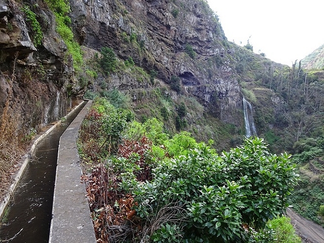 Levada dos Piornais — Até ao portão verde fechado — foto 26