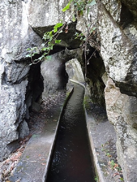 Levada dos Piornais — Até ao portão verde fechado — foto 19