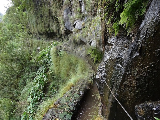 Levada da Faja — Do segundo ao terceiro caminho de acesso — foto 7