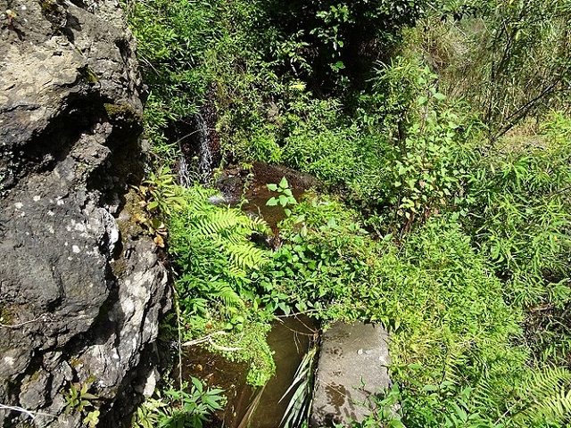 Levada da Faja — Do segundo ao terceiro caminho de acesso — foto 8