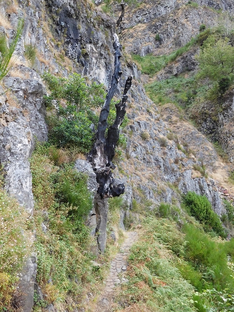 04.08.2015 Pico Grande — Weiter zur Boca do Cerro — Foto 29