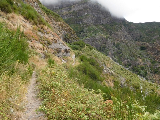 04.08.2015 Pico Grande — Weiter zur Boca do Cerro — Foto 31