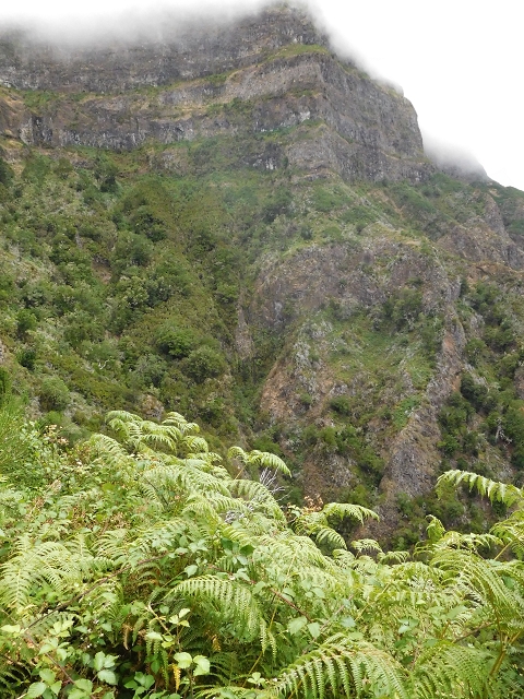 04.08.2015 Pico Grande — Weiter zur Boca do Cerro — Foto 32