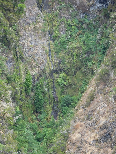 04.08.2015 Pico Grande — Weiter zur Boca do Cerro — Foto 33