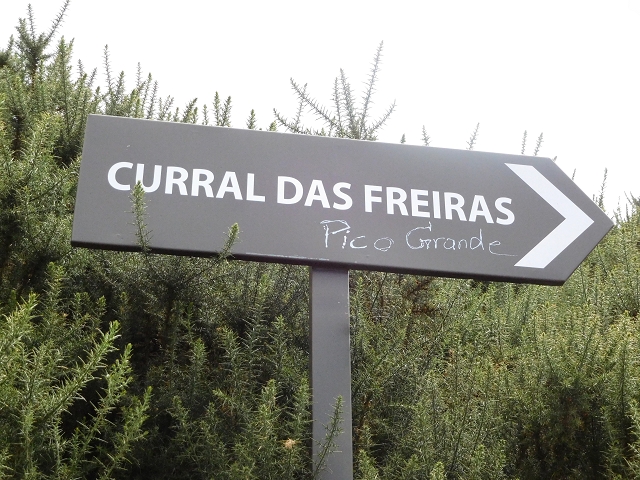 04.08.2015 Pico Grande — Weiter zur Boca do Cerro — Foto 40
