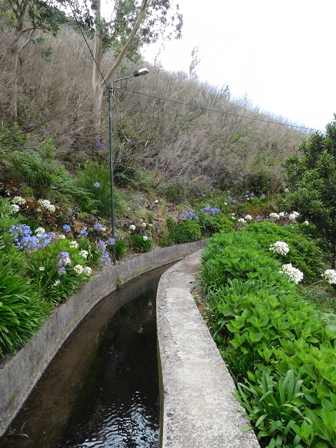 04.08.2015 Pico Grande — Vom Encumeada-Pass bis zum Speicherbecken — Foto 12