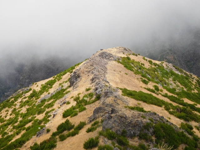 04.08.2015 Pico Grande — Aufstieg auf den Pico Grande — Foto 14