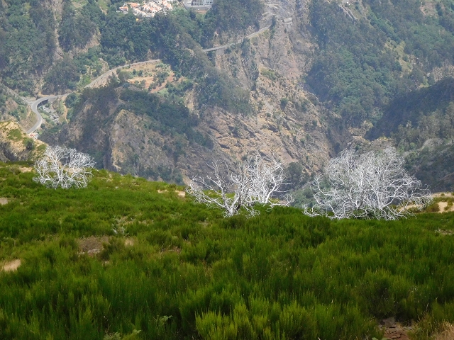04.08.2015 Pico Grande — Aufstieg auf den Pico Grande — Foto 19