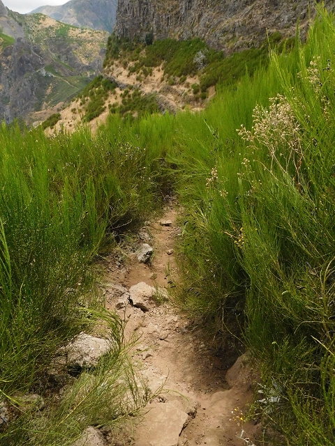 04.08.2015 Pico Grande — Zurück auf dem gleichen Weg — Foto 2
