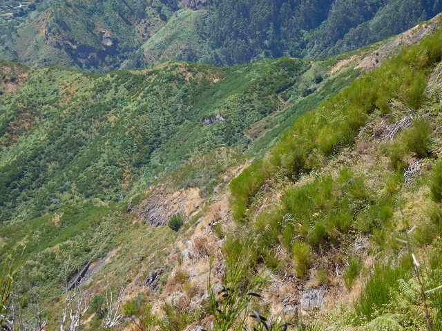 04.08.2015 Pico Grande — Zurück auf dem gleichen Weg — Foto 9