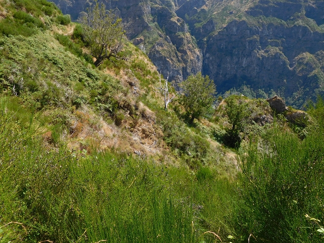 04.08.2015 Pico Grande — Zurück auf dem gleichen Weg — Foto 10