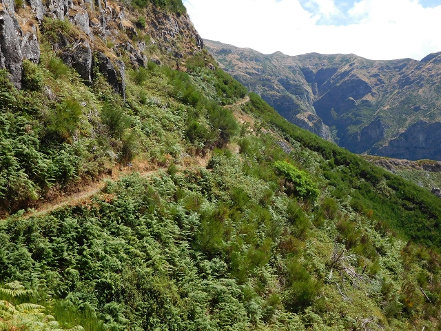 04.08.2015 Pico Grande — Zurück auf dem gleichen Weg — Foto 15