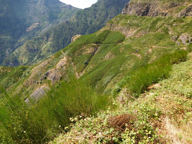 04.08.2015 Pico Grande — Zurück auf dem gleichen Weg — Foto 16