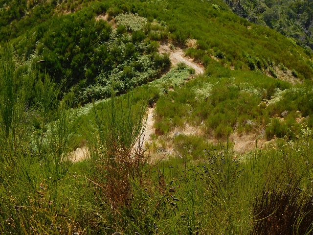 04.08.2015 Pico Grande — Zurück auf dem gleichen Weg — Foto 23