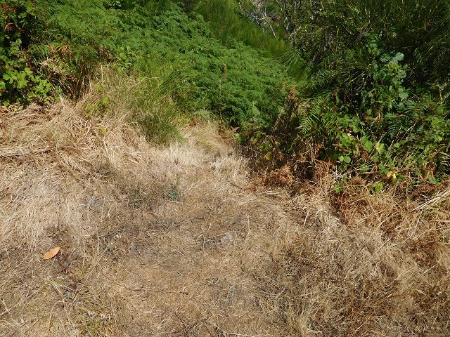 04.08.2015 Pico Grande — Zurück auf dem gleichen Weg — Foto 24