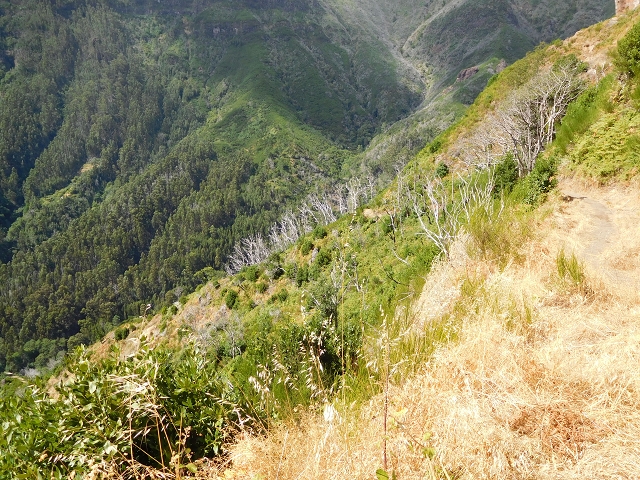 04.08.2015 Pico Grande — Zurück auf dem gleichen Weg — Foto 25