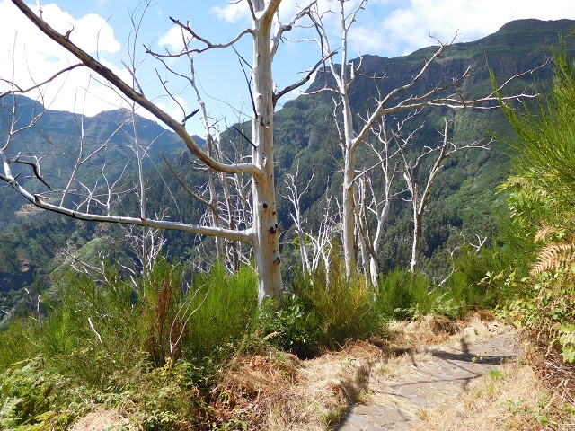 04.08.2015 Pico Grande — Zurück auf dem gleichen Weg — Foto 26