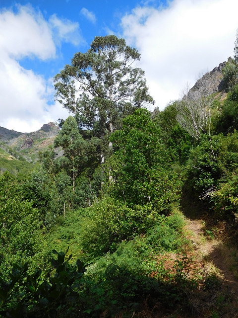 04.08.2015 Pico Grande — Zurück auf dem gleichen Weg — Foto 28