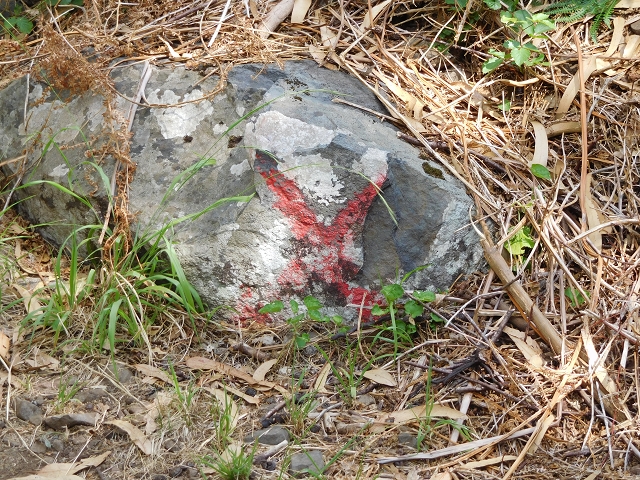 04.08.2015 Pico Grande — Zurück auf dem gleichen Weg — Foto 29