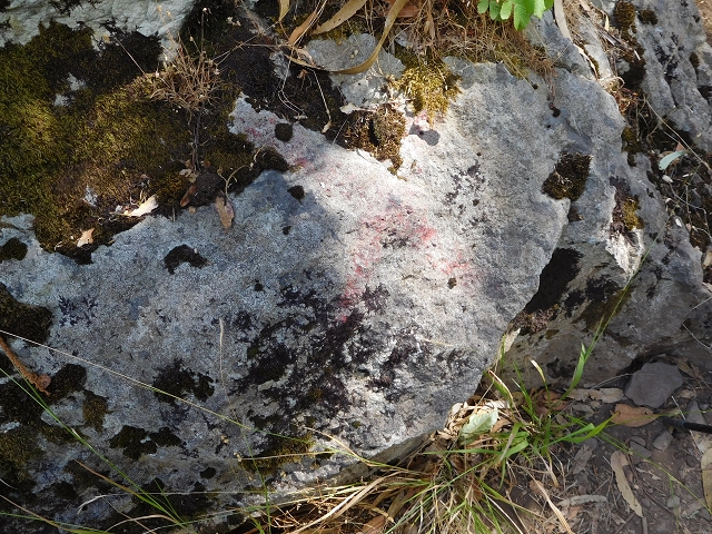 04.08.2015 Pico Grande — Zurück auf dem gleichen Weg — Foto 30