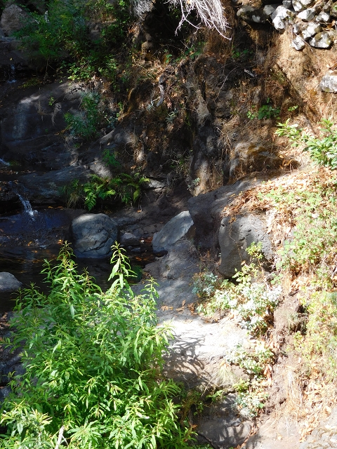 04.08.2015 Pico Grande — Zurück auf dem gleichen Weg — Foto 33
