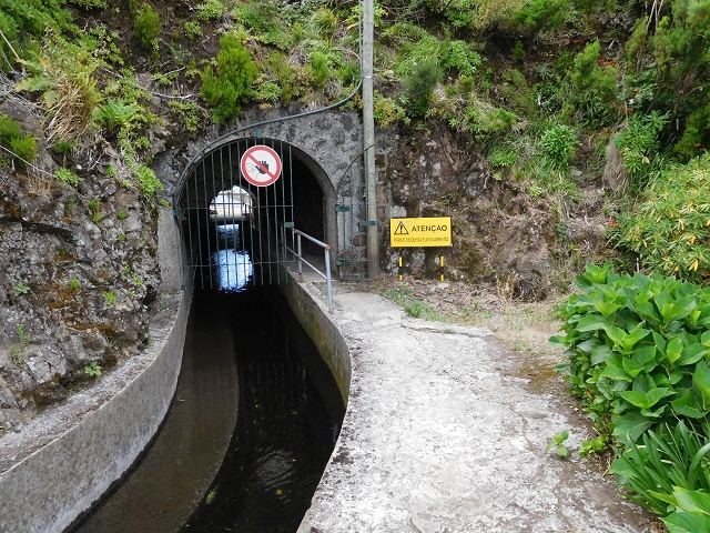 04.08.2015 Pico Grande — Vom Encumeada-Pass bis zum Speicherbecken — Foto 19