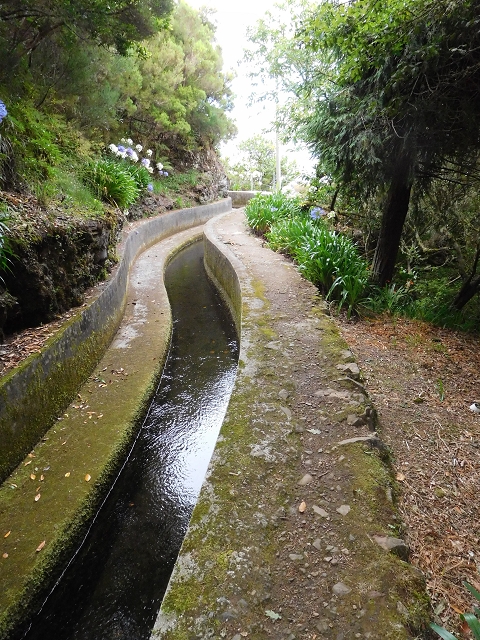 04.08.2015 Pico Grande — Vom Encumeada-Pass bis zum Speicherbecken — Foto 3