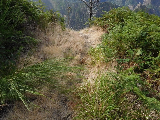 04.08.2015 Pico Grande — Abstieg zum Königsweg — Foto 1