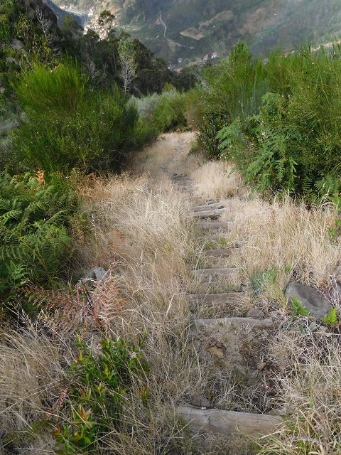 04.08.2015 Pico Grande — Abstieg zum Königsweg — Foto 4