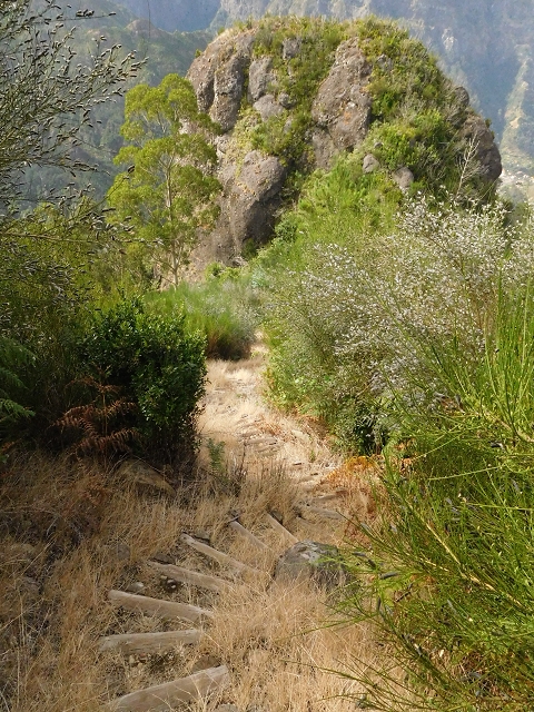 04.08.2015 Pico Grande — Abstieg zum Königsweg — Foto 5