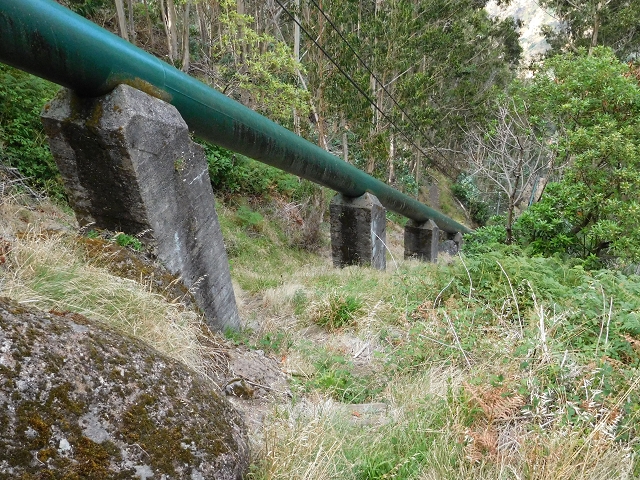 04.08.2015 Pico Grande — Abstieg zum Königsweg — Foto 10