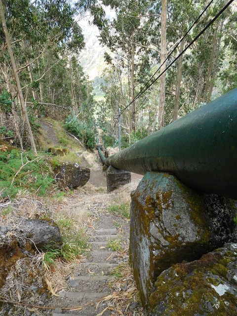 04.08.2015 Pico Grande — Abstieg zum Königsweg — Foto 11