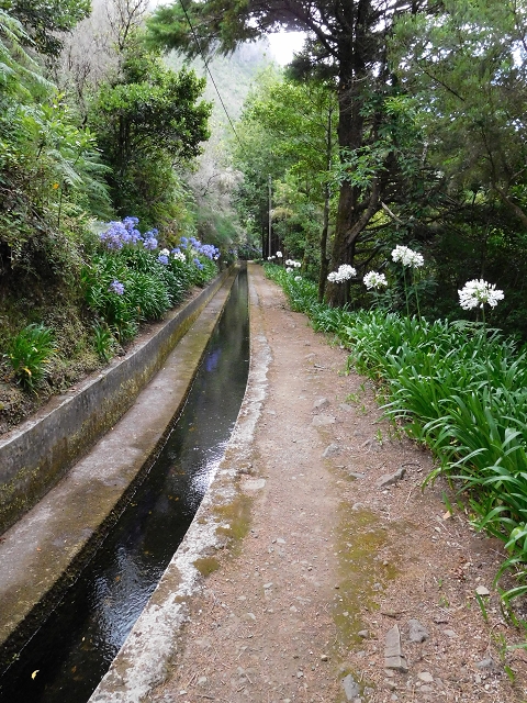04.08.2015 Pico Grande — Vom Encumeada-Pass bis zum Speicherbecken — Foto 5
