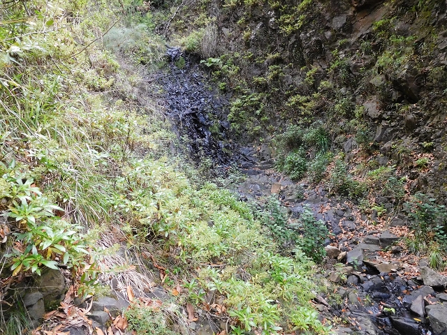04.08.2015 Pico Grande — Auf dem Königsweg zum Curral do Jangao — Foto 3