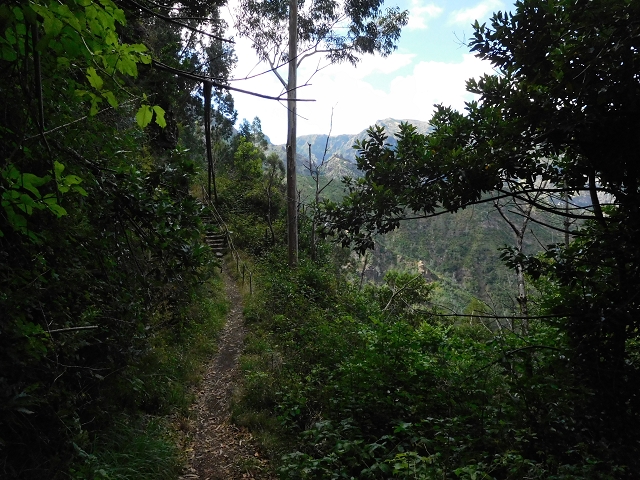 04.08.2015 Pico Grande — Auf dem Königsweg zum Curral do Jangao — Foto 4