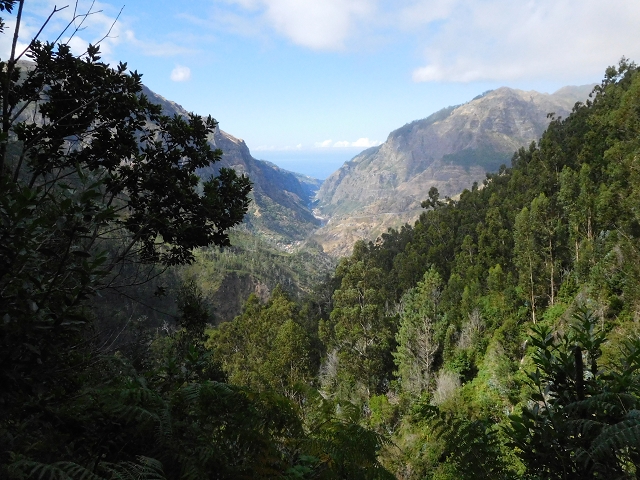04.08.2015 Pico Grande — Auf dem Königsweg zum Curral do Jangao — Foto 5
