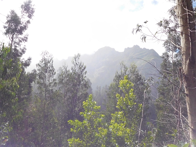 04.08.2015 Pico Grande — Auf dem Königsweg zum Curral do Jangao — Foto 7
