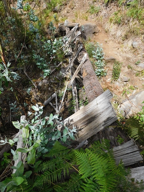 04.08.2015 Pico Grande — Auf dem Königsweg zum Curral do Jangao — Foto 8