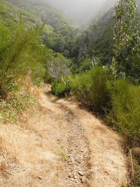 04.08.2015 Pico Grande — Auf dem Königsweg zum Curral do Jangao — Foto 10