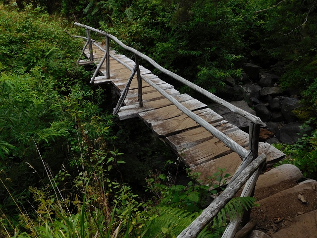 04.08.2015 Pico Grande — Auf dem Königsweg zum Curral do Jangao — Foto 11