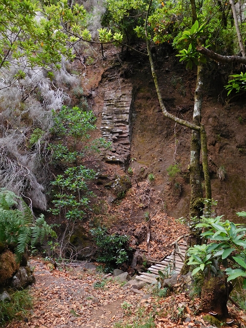 04.08.2015 Pico Grande — Auf dem Königsweg zum Curral do Jangao — Foto 12