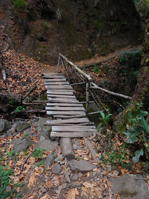 04.08.2015 Pico Grande — Auf dem Königsweg zum Curral do Jangao — Foto 13