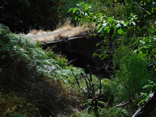 04.08.2015 Pico Grande — Auf dem Königsweg zum Curral do Jangao — Foto 17