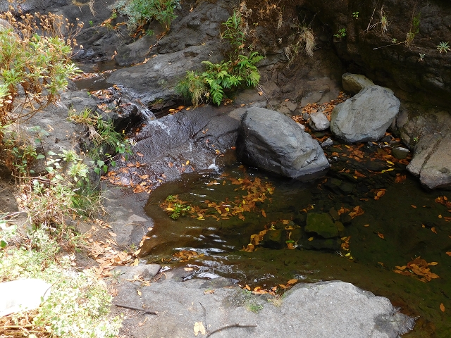 04.08.2015 Pico Grande — Auf dem Königsweg zum Curral do Jangao — Foto 19
