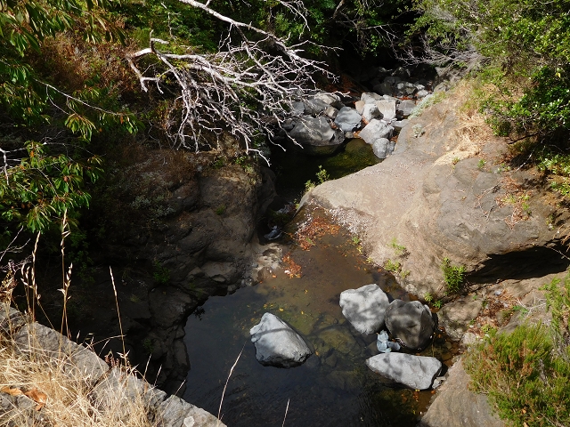 04.08.2015 Pico Grande — Auf dem Königsweg zum Curral do Jangao — Foto 20