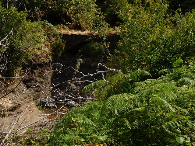 04.08.2015 Pico Grande — Auf dem Königsweg zum Curral do Jangao — Foto 22