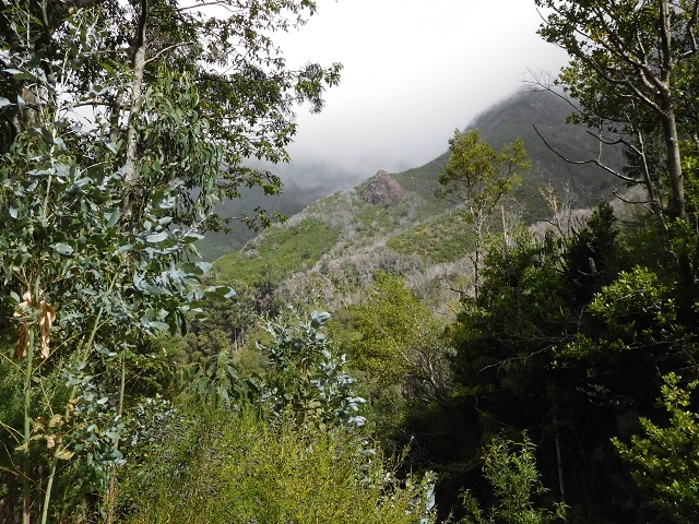 04.08.2015 Pico Grande — Weiter zur Boca do Cerro — Foto 5