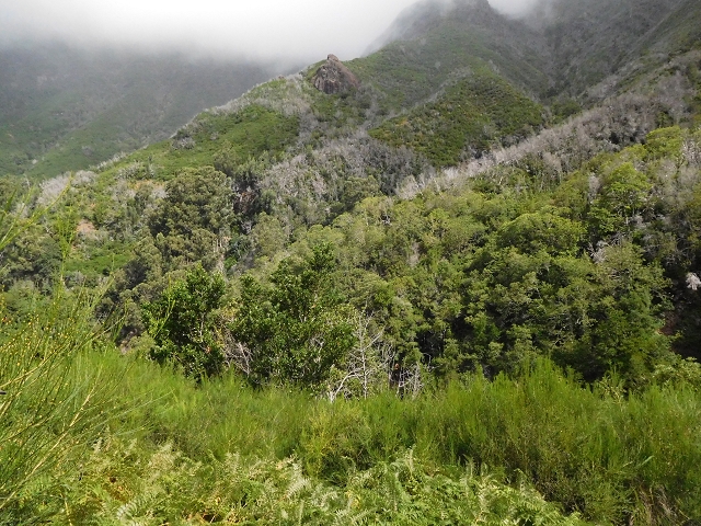 04.08.2015 Pico Grande — Weiter zur Boca do Cerro — Foto 6